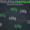Pescuitul crapului | Greutatea mulinetei