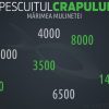 Pescuitul crapului | Mărimea mulinetei