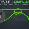 Pescuitul crapului | Nodul Arbor
