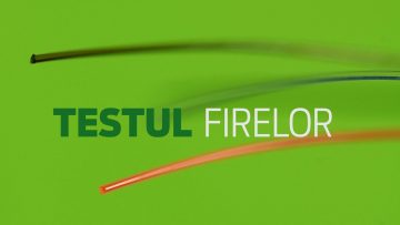 Testul firelor (prezentarea metodei)