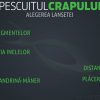 Pescuitul crapului | Lanseta