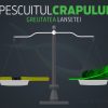 Pescuitul crapului | Greutatea lansetei