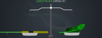 Pescuitul crapului | Greutatea lansetei