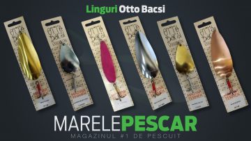 Linguri Otto Bacsi