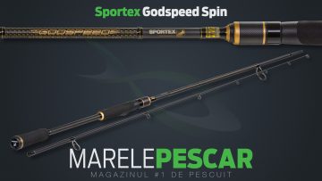 Sportex Godspeed Spin