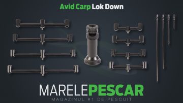 Avid Carp Lok Down