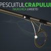 Pescuitul crapului | Îngrijirea lansetei