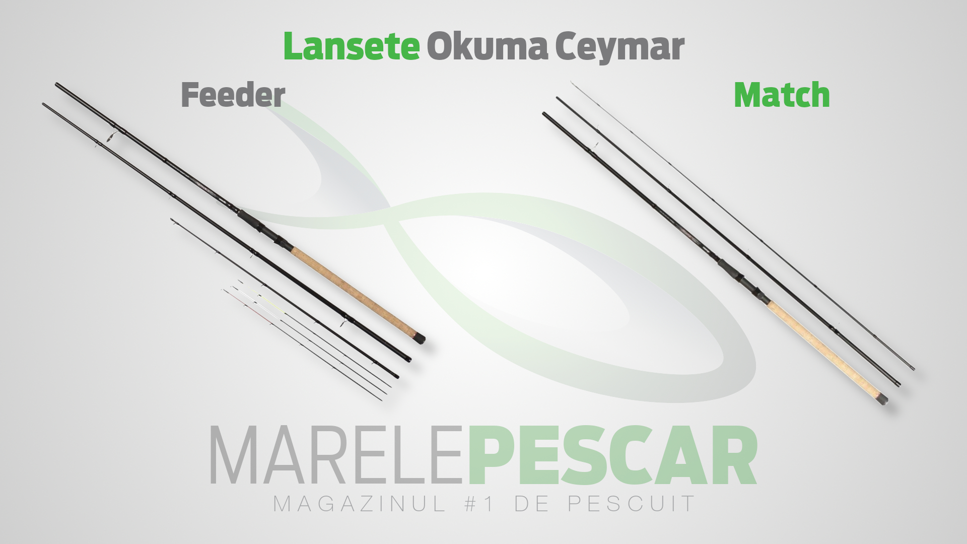 Lansete Okuma Ceymar