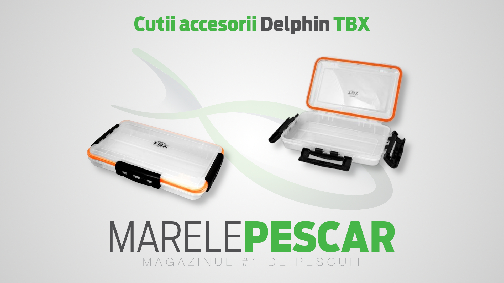 Cutii accesorii Delphin TBX