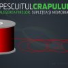 Pescuitul crapului | Alegerea firelor. Suplețea și memoria