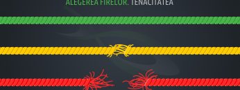 Pescuitul crapului | Alegerea firelor. Tenacitatea