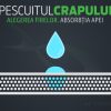 Pescuitul crapului | Alegerea firelor. Absorbția apei