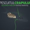 Pescuitul crapului | Alegerea firelor pentru înaintaș