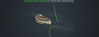 Pescuitul crapului | Alegerea firelor pentru înaintaș