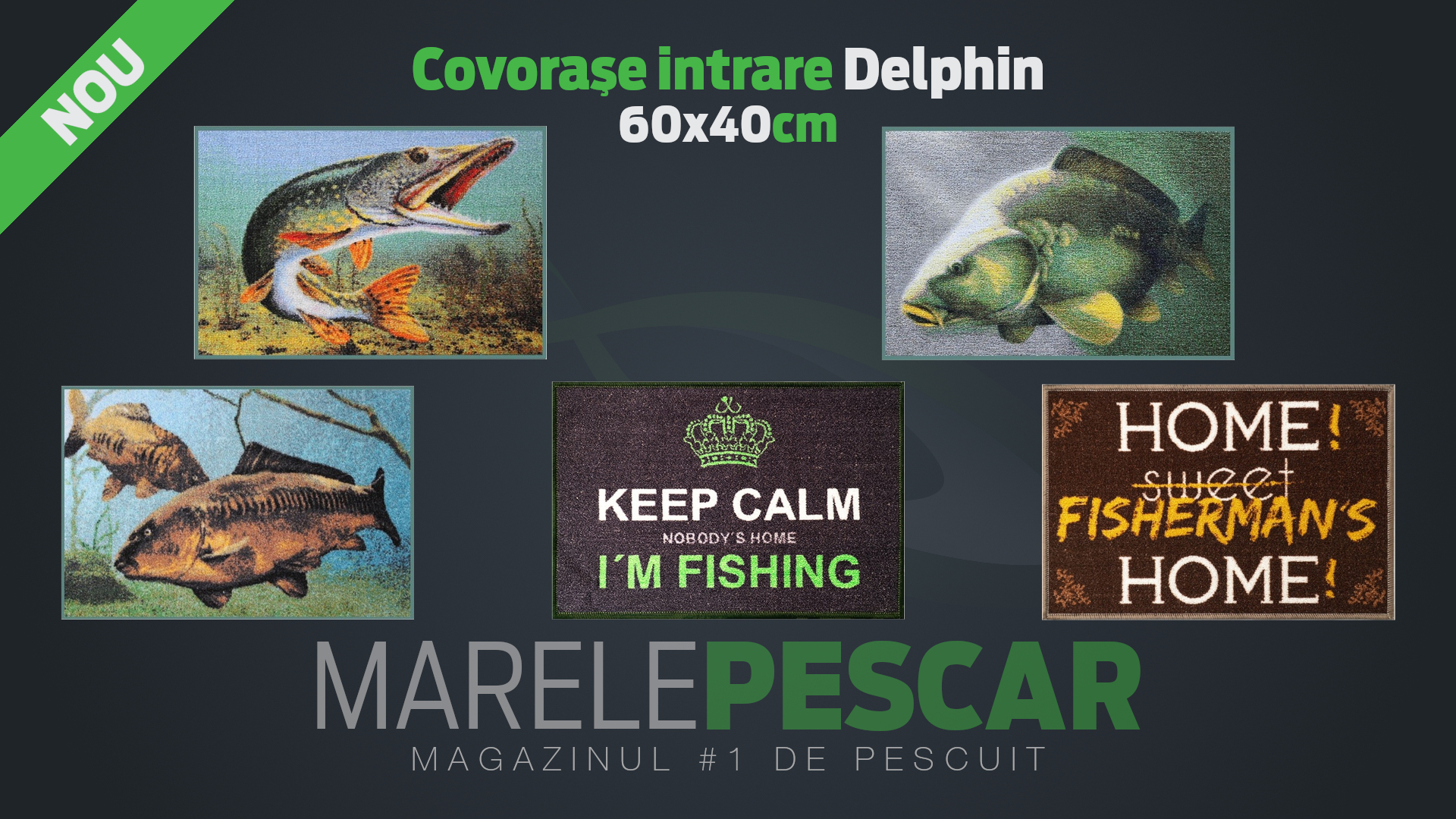 Covorașe intrare Delphin