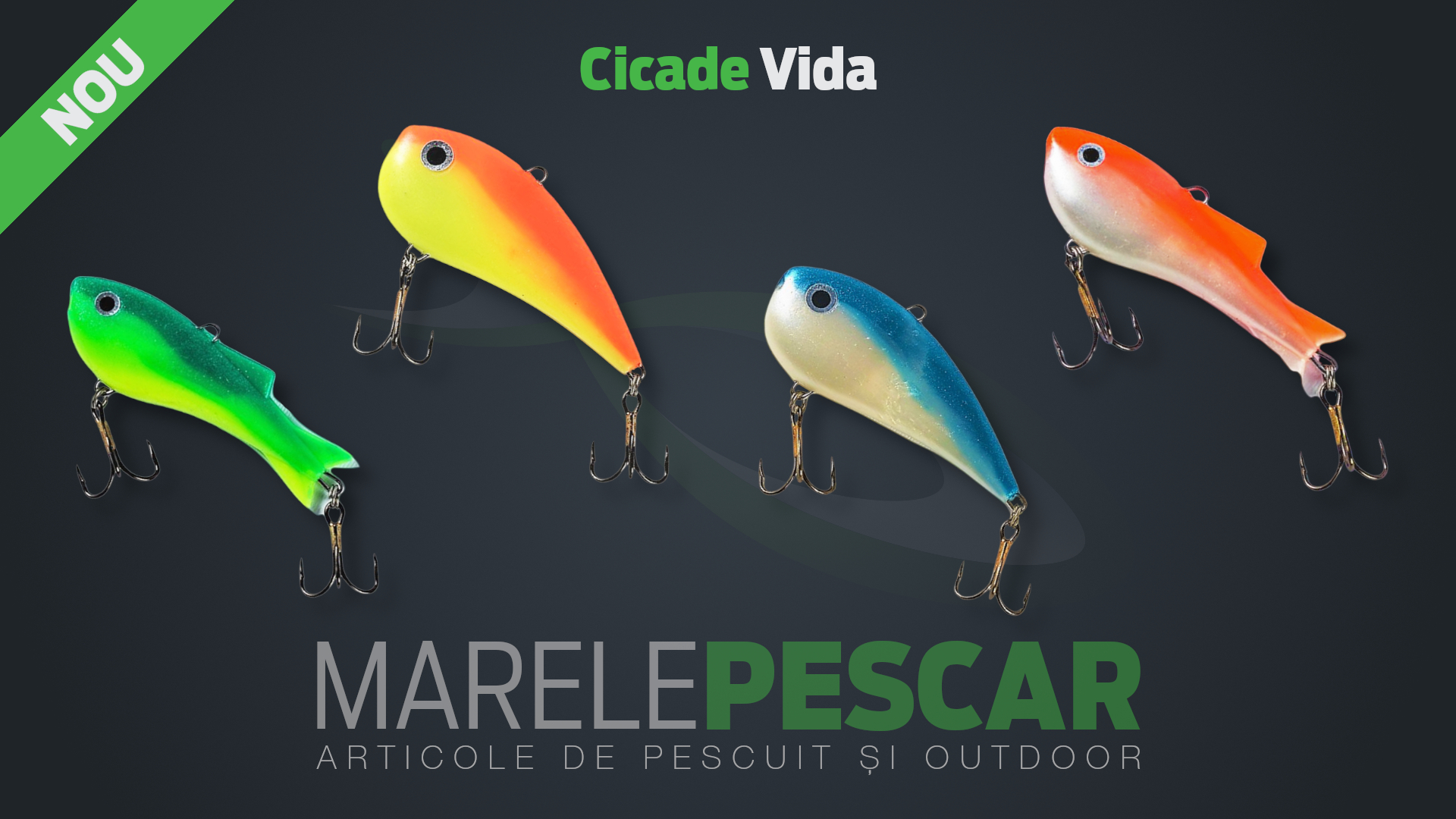 Cicade Vida