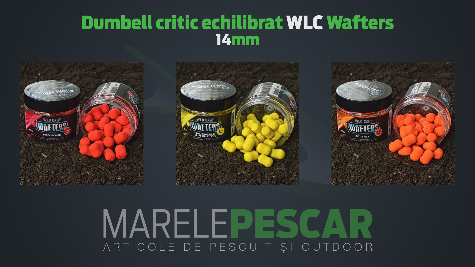 Dumbell critic echilibrat WLC Wafters