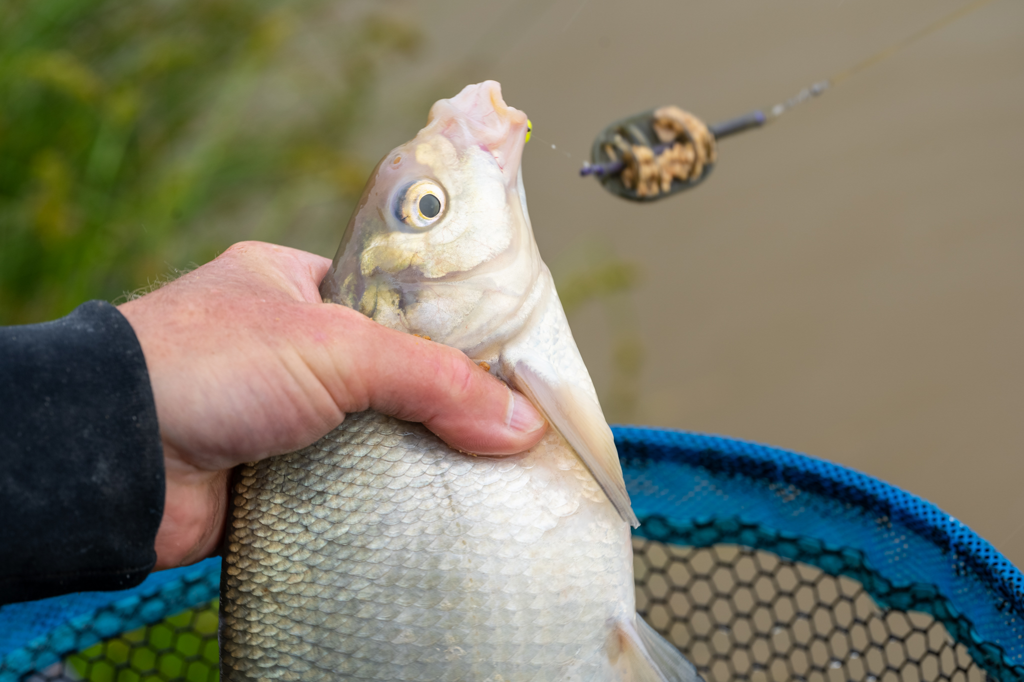 pescuitul sportiv sau recreativ