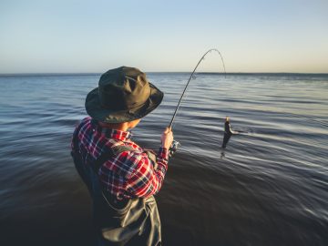 Pescuitul la spinning