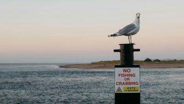 no-fishing