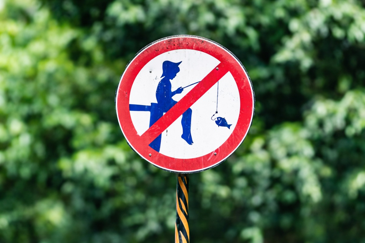 Perioada de prohibiție la pescuit în 2026: tot ce trebuie să știi