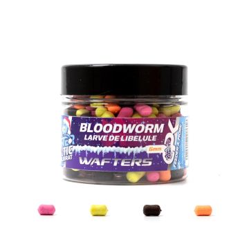 Wafters CPK Critic Echilibrate Multicolor, 6mm, 22gborcan