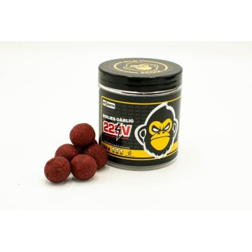 Boilies Tare Dipuit pentru Carlig BD Baits, 150g