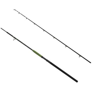Lanseta Delphin Energy Catfish, 2.50m, 250-500g, 2buc