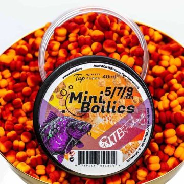 Mini Boilies VTBFishing, 5/7/9mm, 40ml