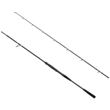 Lanseta Delphin MonstaX, 1.70m, 150g, 2buc
