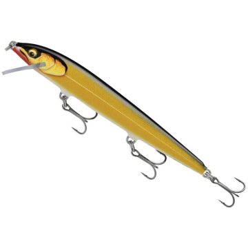 Vobler Rapala Floater Elite 120, Gilded Hot Steel, 12cm, 10g