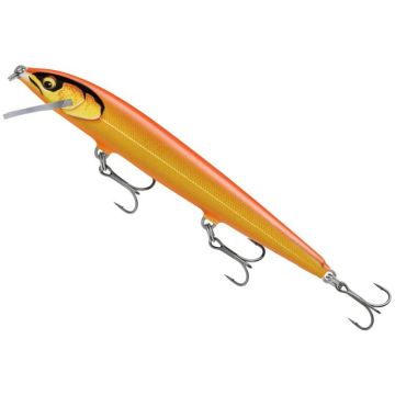 Vobler Rapala Floater Elite 120, Gilded Hot Steel, 12cm, 10g