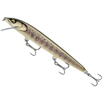 Vobler Rapala Floater Elite 120, Gilded Hot Steel, 12cm, 10g