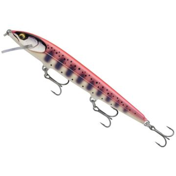 Vobler Rapala Floater Elite 120, Gilded Hot Steel, 12cm, 10g