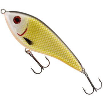 Vobler Westin Swim Glidebait Official Roach, 10cm, 31g