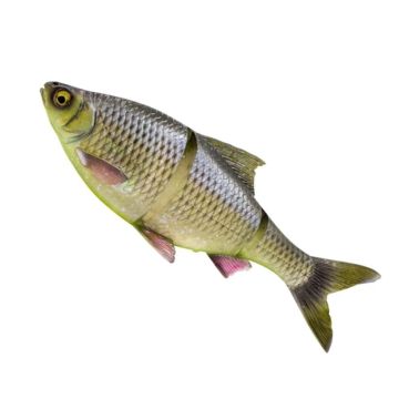 Swimbait Savage Gear 3D Line Thru Roach, Toxic Roach, 18cm, 86g
