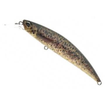 Vobler DUO Spearhead Ryuki 80S, CCC3815 Brown Trout ND, 8cm, 12g