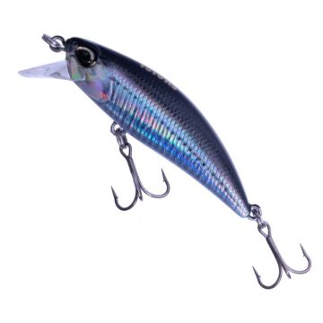 Vobler DUO Tetra Works Toto 45HS, CNA0842 Real Anchovy, 4.8cm, 4.3g