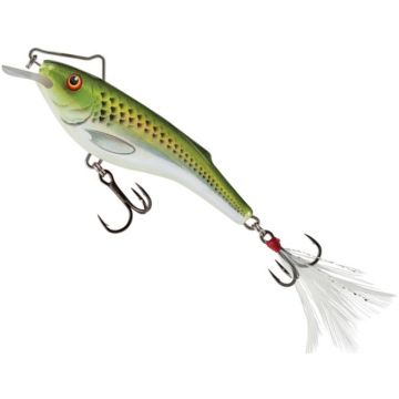 Vobler Salmo Rail Shad Floating RB6S, Culoare Holographic Green Shiner, 6cm, 14g