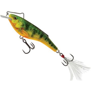 Vobler Salmo Rail Shad Floating RB6S, Culoare Supernatural Hot Perch, 6cm, 14g