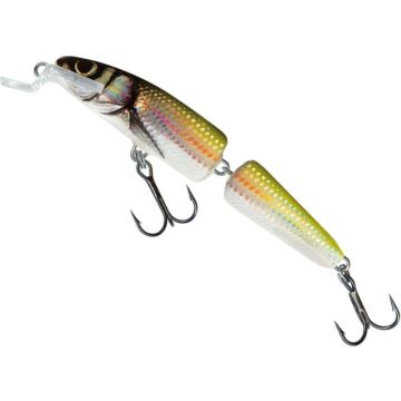 Vobler Salmo Fanatic Floating IF7F, HBL, 7cm, 5g