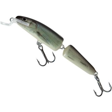 Vobler Salmo Fanatic Floating IF7F, RBL, 7cm, 5g