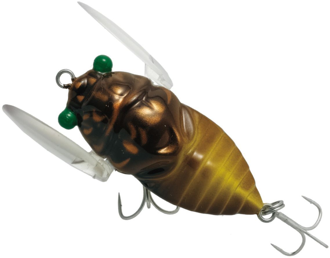 Tiemco Cicada Origin Magnum Lures