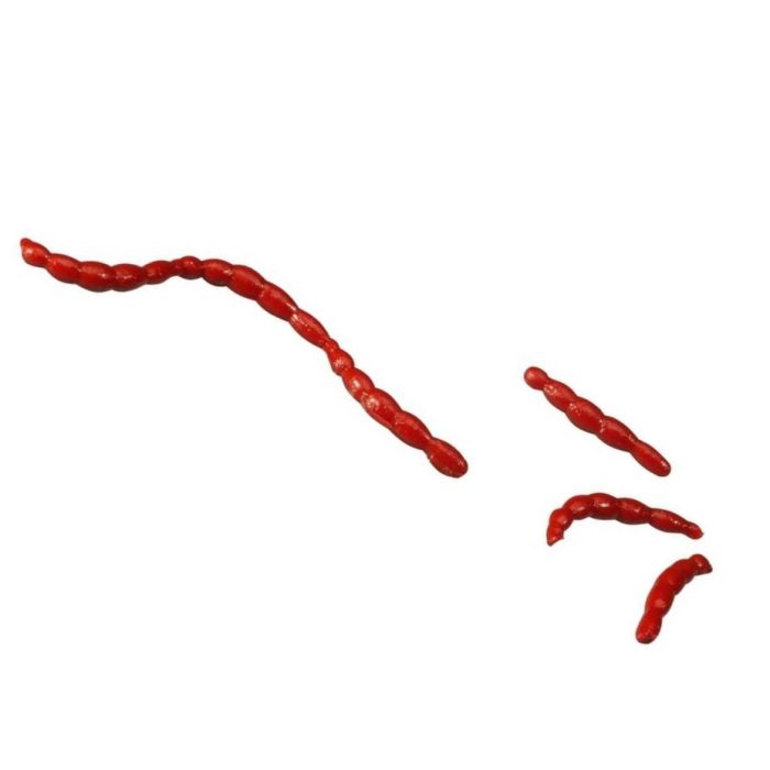 Larve de Libelula Artificiala Berkley Gulp Alive Bloodworms, 40bucborcan